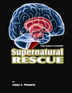 Book Cover Design by hscrowl