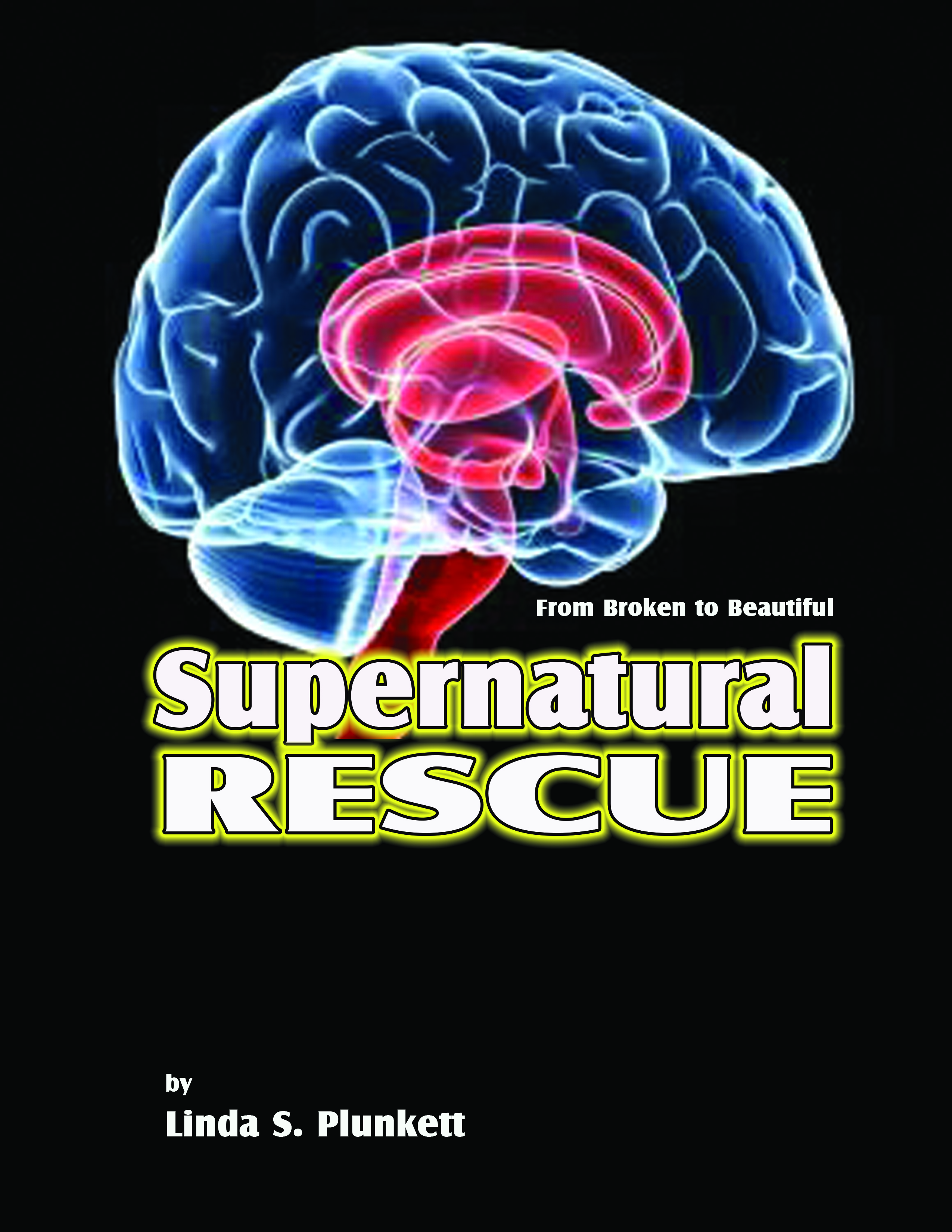 Book Cover Design by hscrowl for this project | Design #22334391