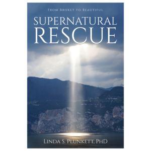 Book Cover Design by NiN Designs for this project | Design #22358178
