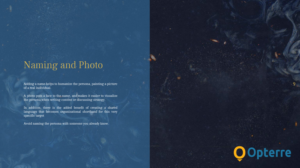 PowerPoint Design by Market bees for Opterre LLC | Design: #22354103