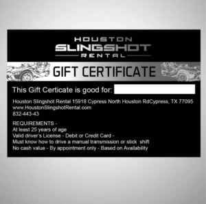 Design Graphique par 75-R-P-Z pour Houston Slingshot Rental | Design : #22356660