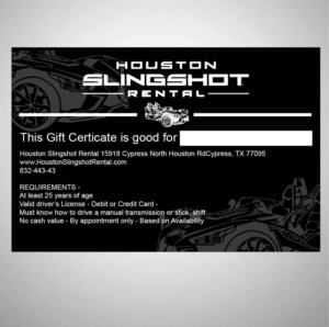Design Graphique par 75-R-P-Z pour Houston Slingshot Rental | Design : #22356670