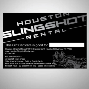 Design Graphique par 75-R-P-Z pour Houston Slingshot Rental | Design : #22356671