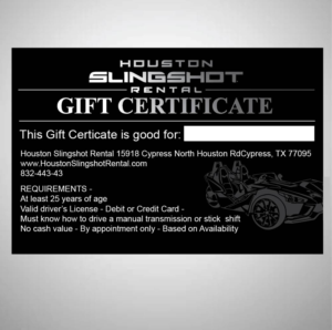Design Graphique par 75-R-P-Z pour Houston Slingshot Rental | Design : #22360072