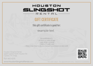 Design Graphique par Millie Attwater pour Houston Slingshot Rental | Design : #22358746