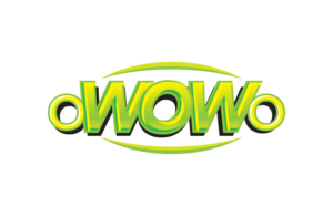 Logo Design by BinghamDsign
