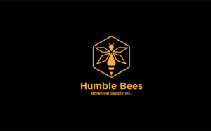 Logo Design by MT