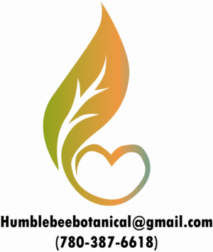 Logo Design by Anggit_setia1