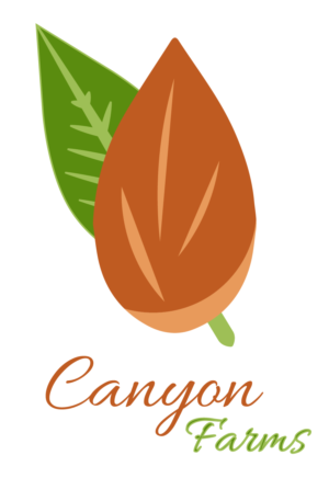 Logo Design by Rahul 22