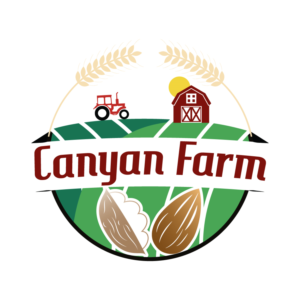 Logo Design by mohamed adam