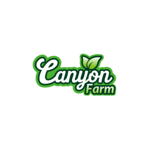 Logo Design by BABAREL ART