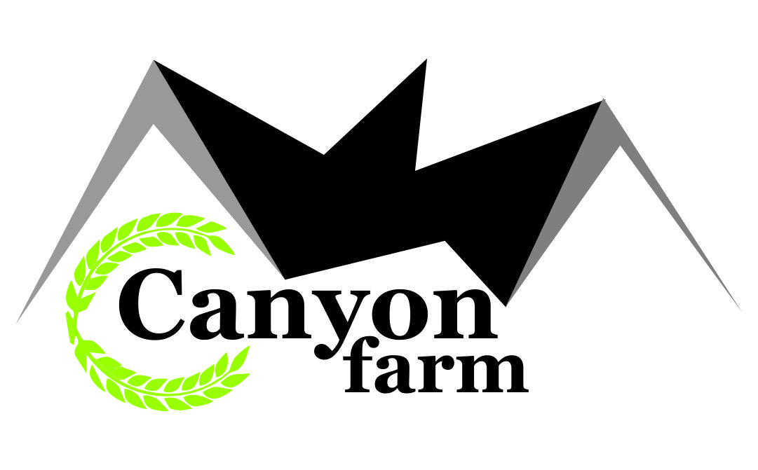Logo Design by Sevan for this project | Design #22395611