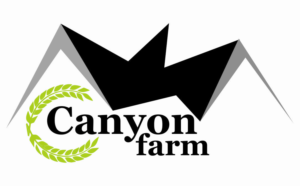 Logo Design by Sevan