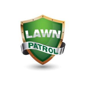 Logo Design by HeshanKavinda