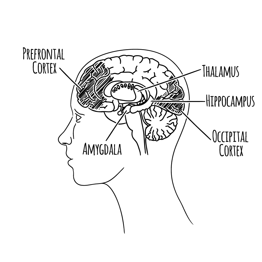 Illustration Design by nicholash for Quantum Thinking | Design #22339074