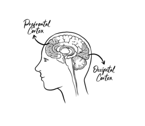Brain Illustration for a Book called Wake-Up | Design Illustration par SangBlater