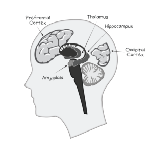 Brain Illustration for a Book called Wake-Up | Design Illustration par Rickyy