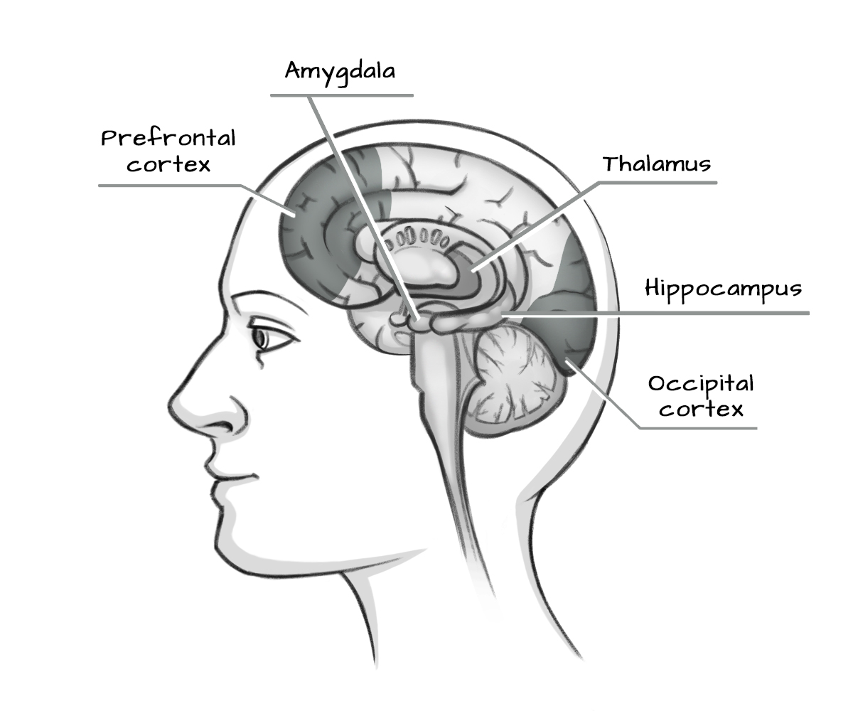 Illustration Design by CharleyLiv for Quantum Thinking | Design #22344447