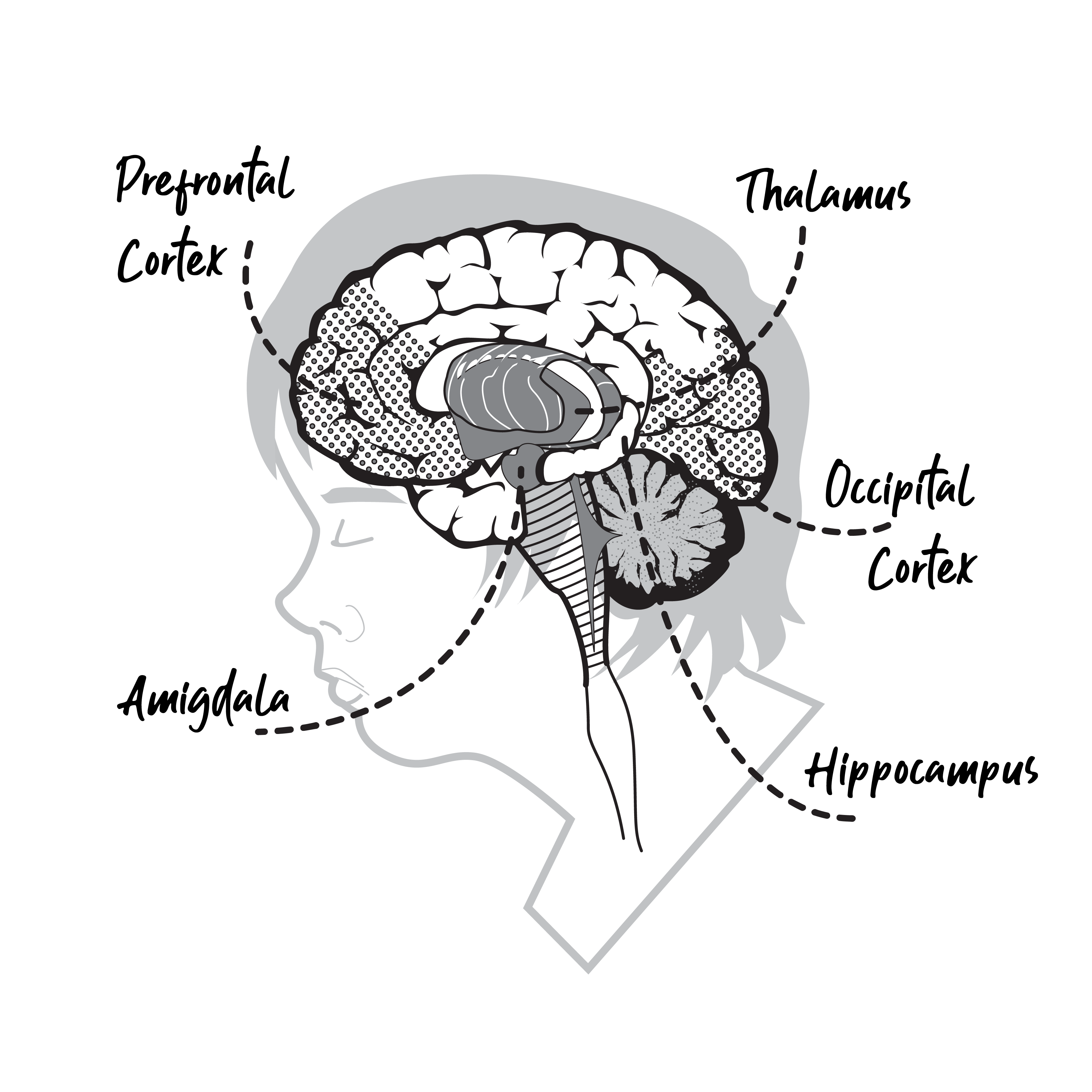 Illustration Design by Gabriel T. Marques for Quantum Thinking | Design #22340756