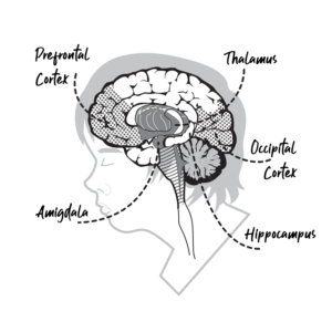 Brain Illustration for a Book called Wake-Up | Design Illustration par Gabriel T. Marques