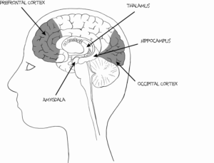 Brain Illustration for a Book called Wake-Up | Design Illustration par Skybluedesignstudio