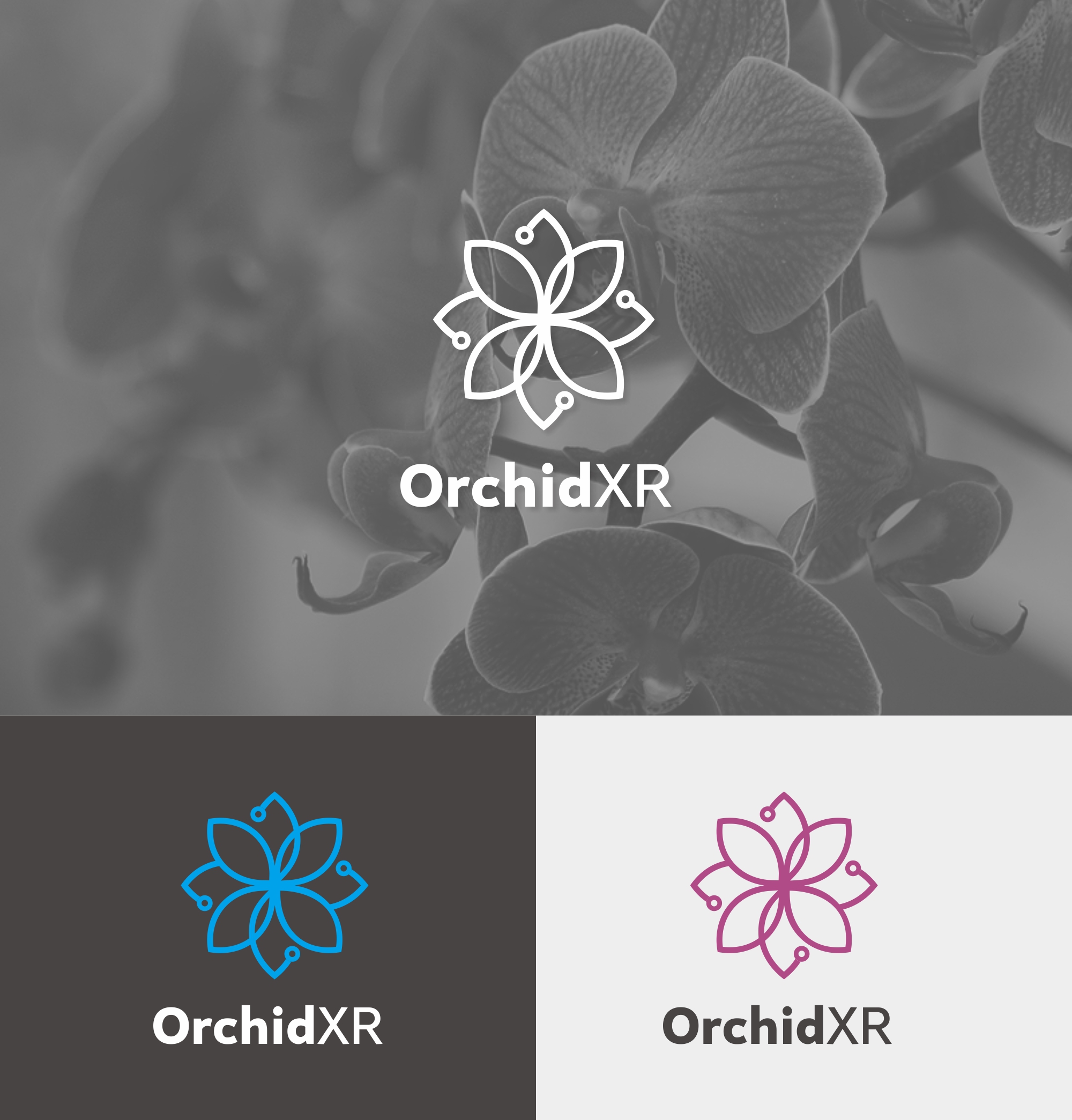 Logo Design by D. Doth for this project | Design #22358000