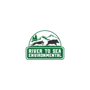 Logo Design by ESolz Technologies
