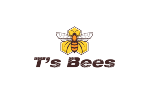 Logo Design by Avartde