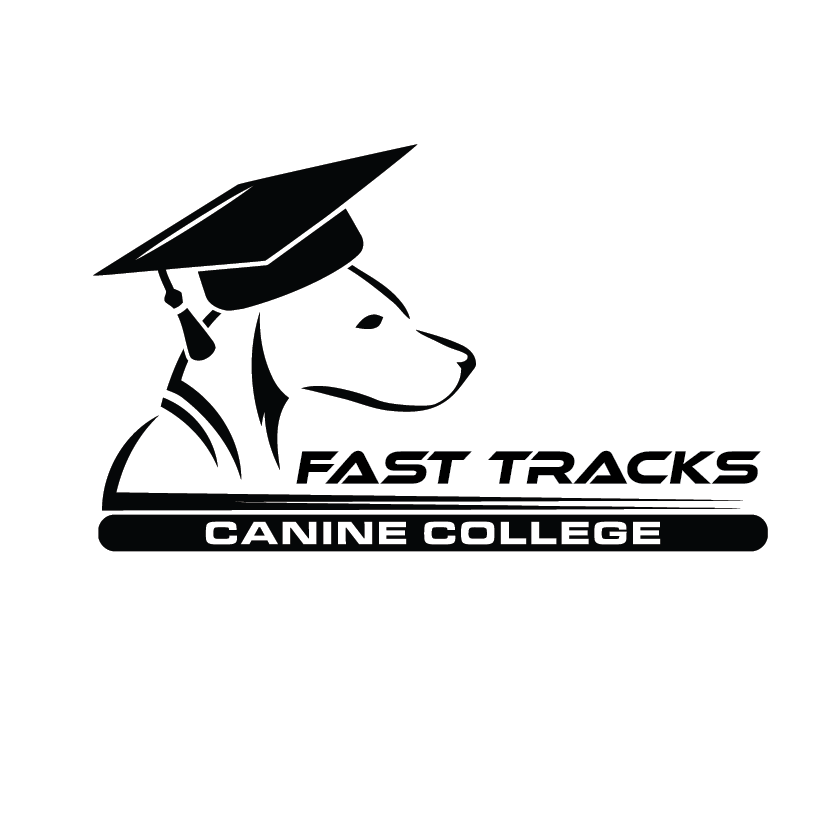 Logo Design by Pv_999 for this project | Design #22394661