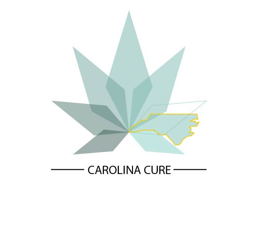 Diseño de Logo por Margaux.Entz para este proyecto | Diseño #22355987