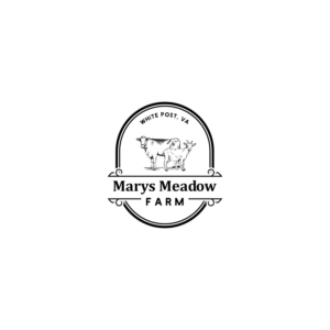 Logo Design by ddnsycrowd