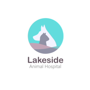 Logo Design by WeirdoDesigner