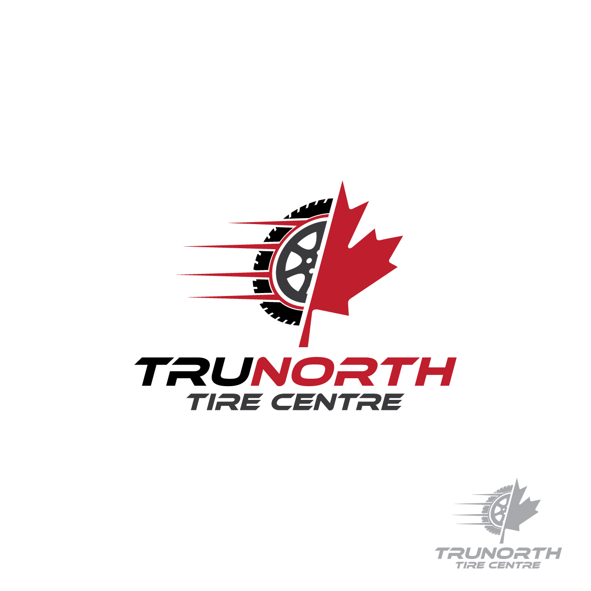 Logo Design by brand maker for TruNorth Tire Distribution | Design #22371105