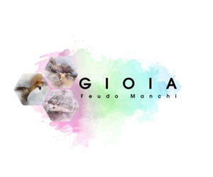 Logo Design by Joornale