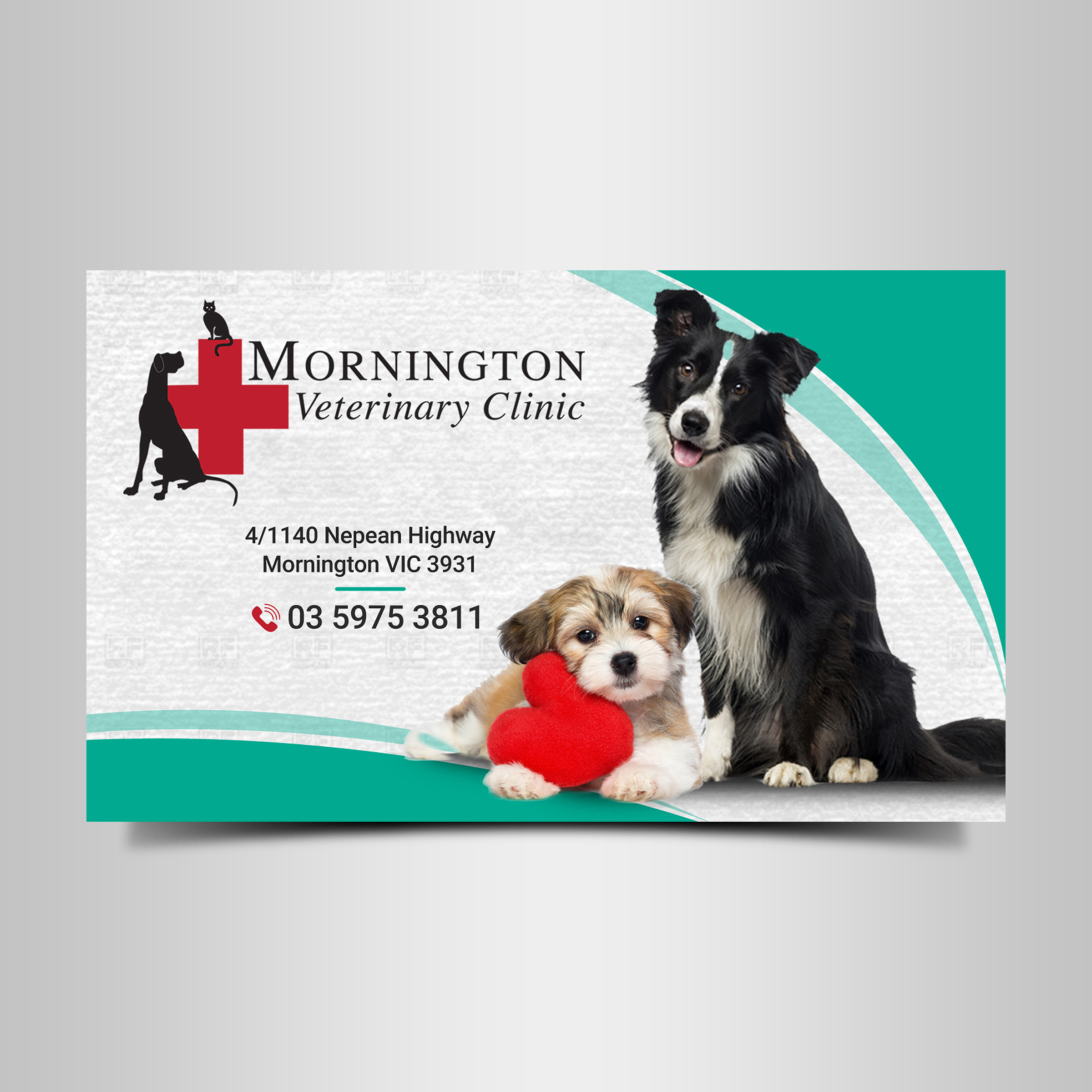Business Card Design by Designers Hub for this project | Design #22375919