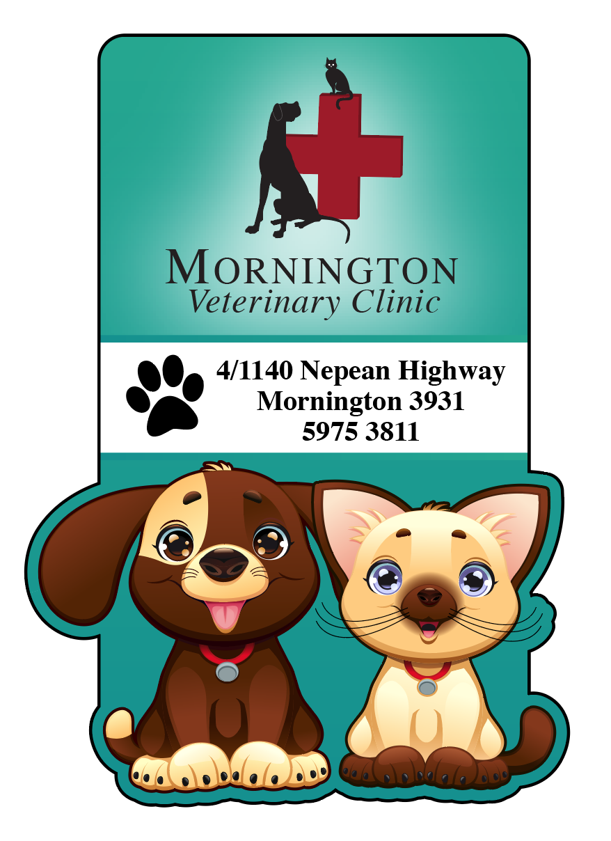 Design de Carte de Visite par HG Design-FL pour ce projet | Design #22413961