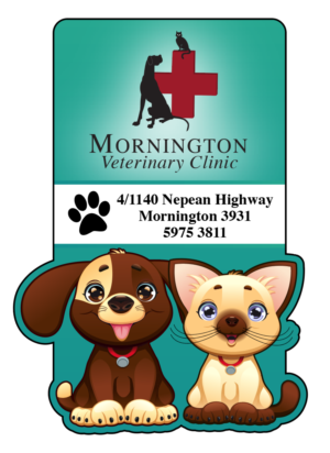 Business Card Design by HG Design-FL