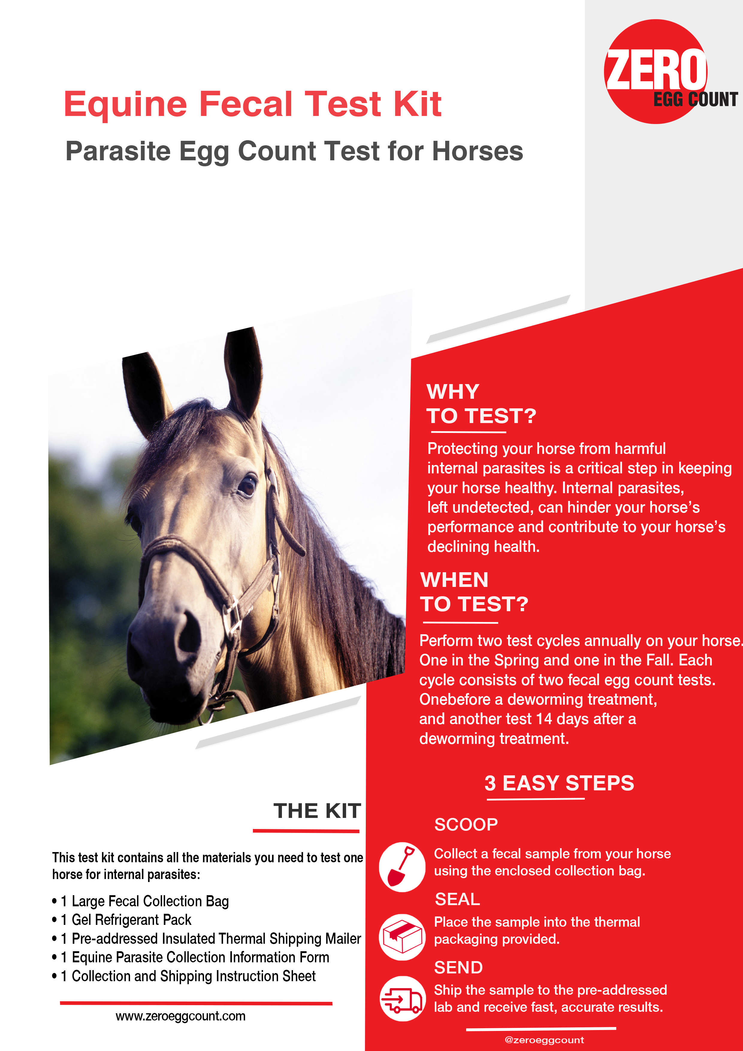 Flyer Design by Royal Effects for Zero Egg Count | Design #22390347