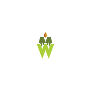 Logo Design by Innovation Media