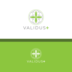 I need the company name with the plus symbol in any font you think works | Logo Design by Graphic Bricks