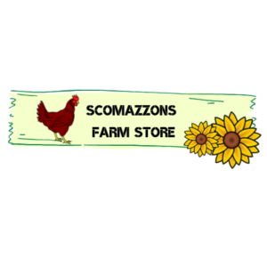 Logo Design by Jooze