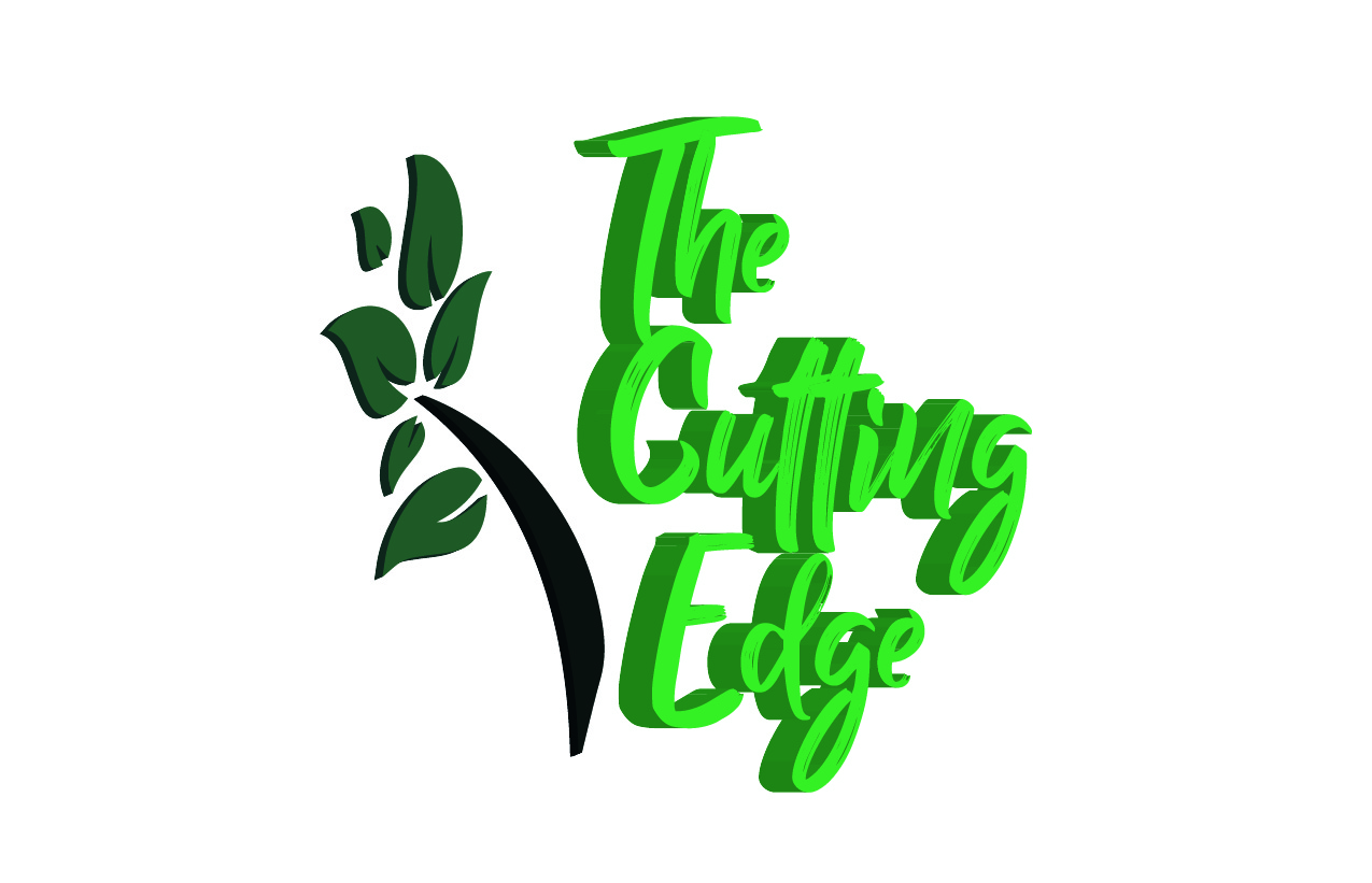 Newsletter Design by Expert Designer for Walters Family Foundation | Design #22394208