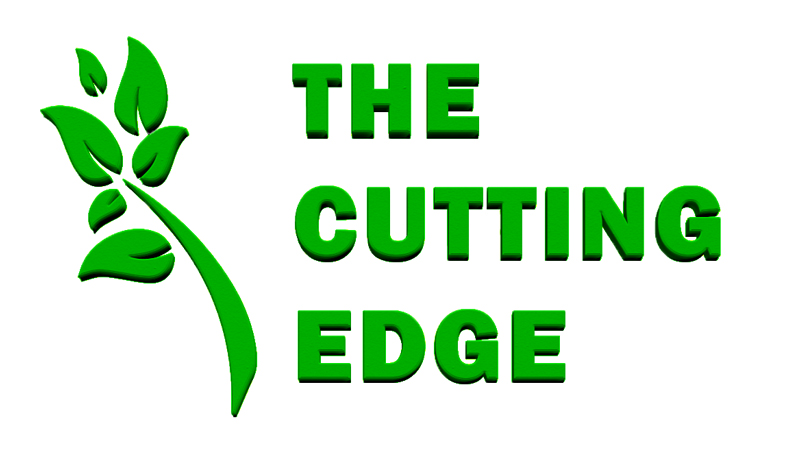 Newsletter Design by Expert Designer for Walters Family Foundation | Design #22394210