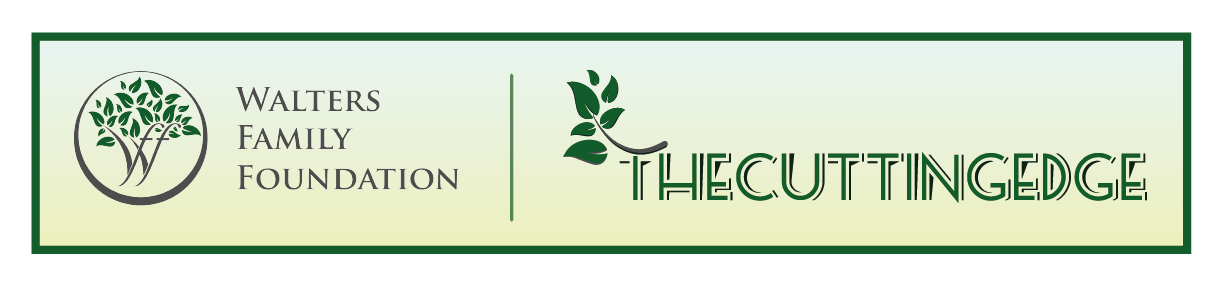 Newsletter Design by Expert Designer for Walters Family Foundation | Design #22462354