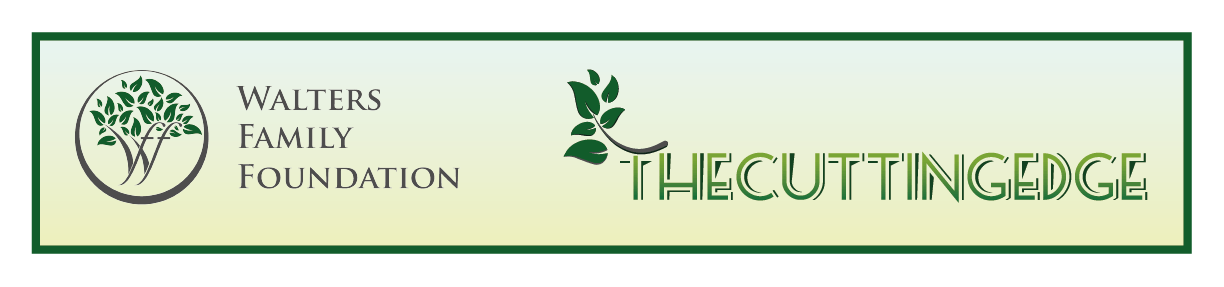 Diseño de Newsletter por Expert Designer para Walters Family Foundation | Diseño #22462355