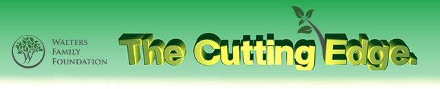 Newsletter Design by tonib for Walters Family Foundation | Design #22387114