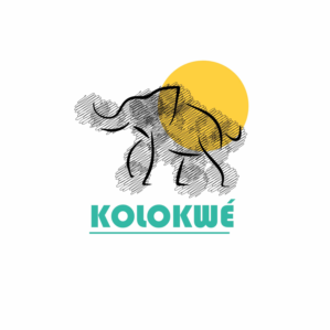 Logo Design by arbi.aloui