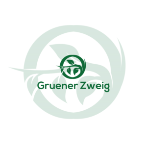 Logo Design by ESolz Technologies