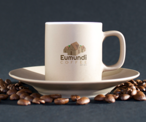 Logo Design by dharshana3000 for this project | Design: #22422998