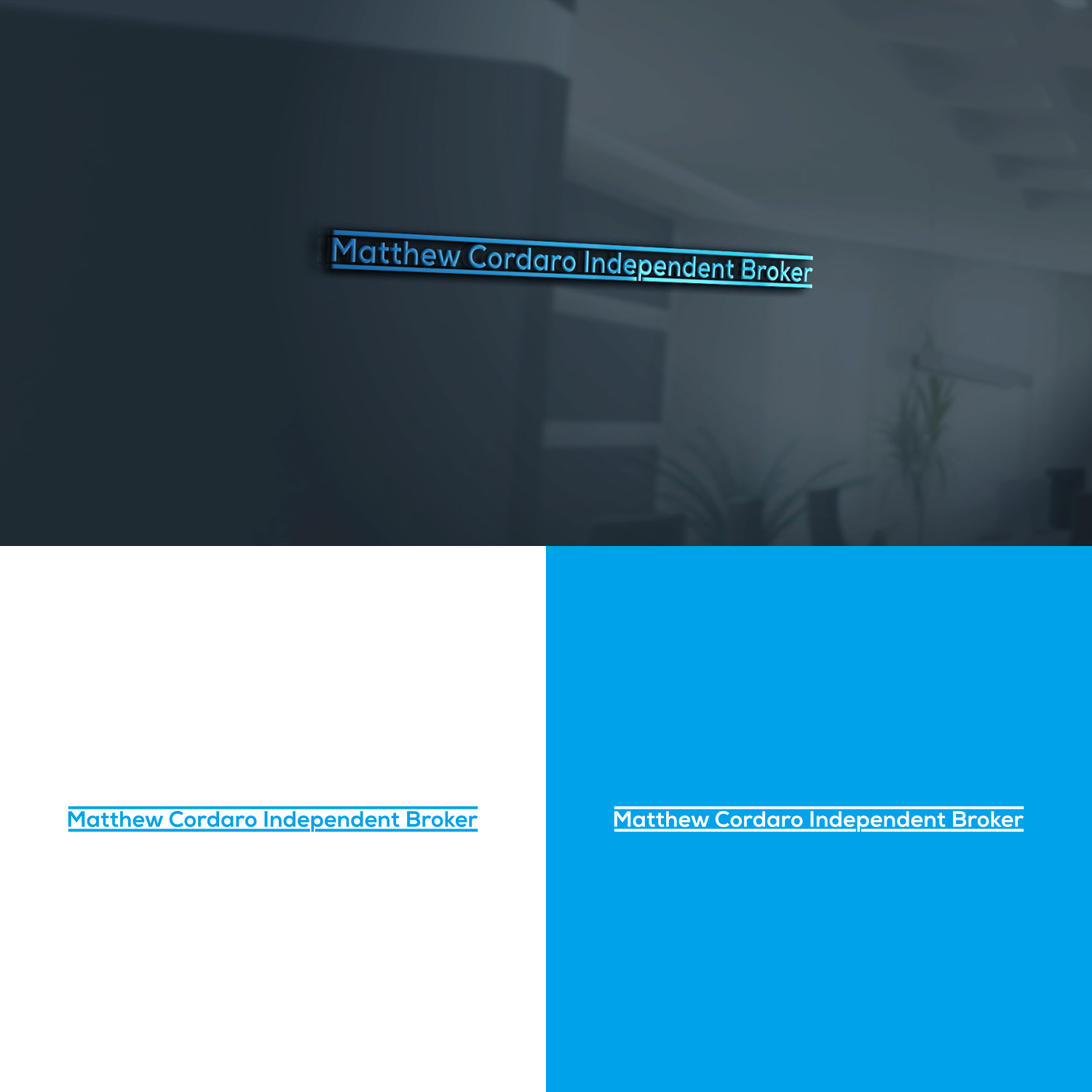 Logo-Design von pry go für Babi Bear, LLC | Design #22473974